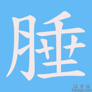 《腄》的笔顺动画写字动画演示