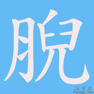 《腉》的笔顺动画写字动画演示