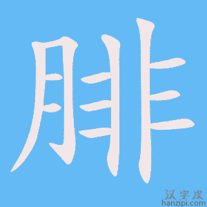《腓》的笔顺动画写字动画演示