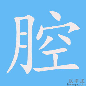 《腔》的笔顺动画写字动画演示
