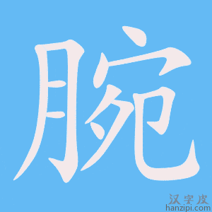 《腕》的笔顺动画写字动画演示