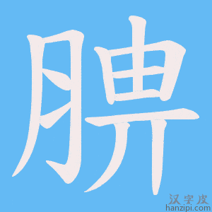 《腗》的笔顺动画写字动画演示