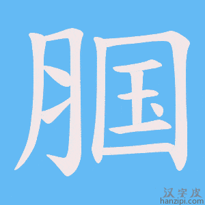 《腘》的笔顺动画写字动画演示