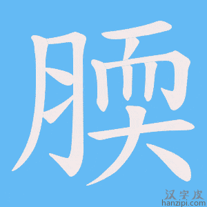 《腝》的笔顺动画写字动画演示