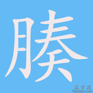 《腠》的笔顺动画写字动画演示