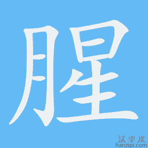 《腥》的笔顺动画写字动画演示