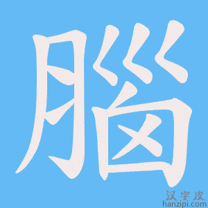 《腦》的笔顺动画写字动画演示