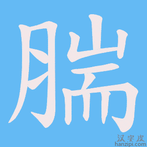 《腨》的笔顺动画写字动画演示