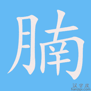 《腩》的笔顺动画写字动画演示
