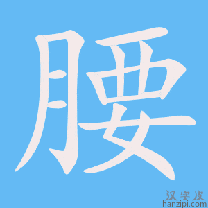 《腰》的笔顺动画写字动画演示
