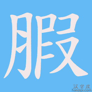 《腵》的笔顺动画写字动画演示