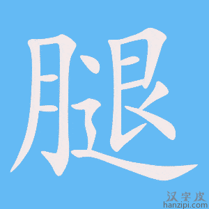 《腿》的笔顺动画写字动画演示