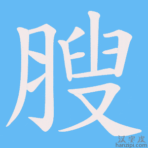 《膄》的笔顺动画写字动画演示