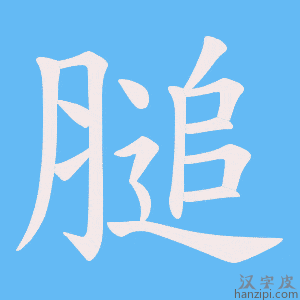 《膇》的笔顺动画写字动画演示