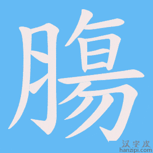 《膓》的笔顺动画写字动画演示