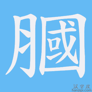 《膕》的笔顺动画写字动画演示