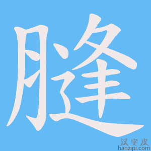 《膖》的笔顺动画写字动画演示