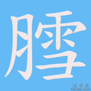 《膤》的笔顺动画写字动画演示