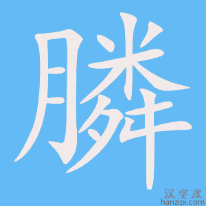 《膦》的笔顺动画写字动画演示