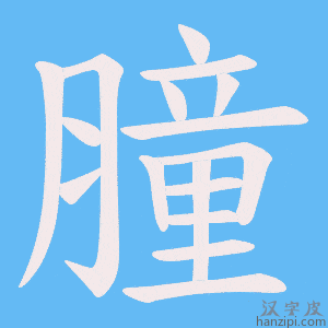 《膧》的笔顺动画写字动画演示