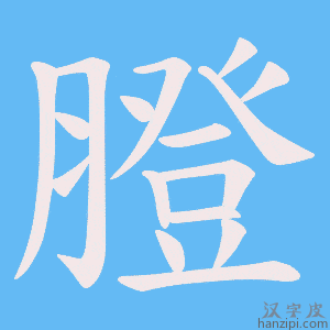 《膯》的笔顺动画写字动画演示