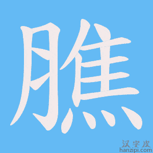 《膲》的笔顺动画写字动画演示