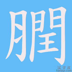 《膶》的笔顺动画写字动画演示