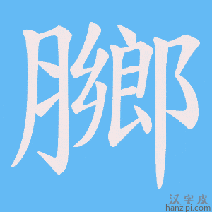 《膷》的笔顺动画写字动画演示