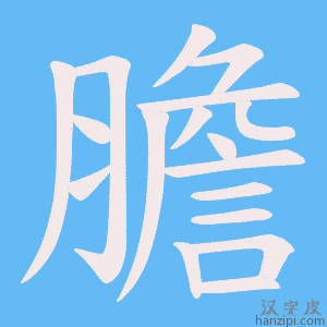 《膽》的笔顺动画写字动画演示