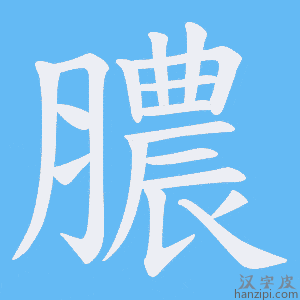 《膿》的笔顺动画写字动画演示