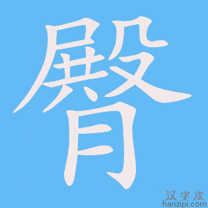 《臀》的笔顺动画写字动画演示