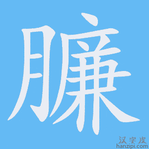 《臁》的笔顺动画写字动画演示