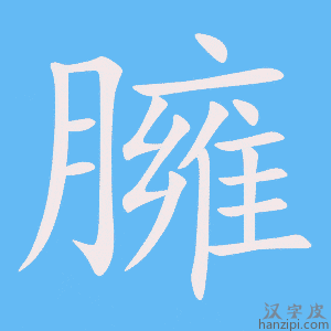 《臃》的笔顺动画写字动画演示
