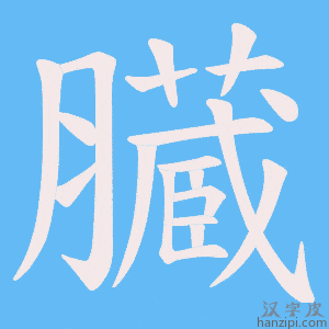 《臓》的笔顺动画写字动画演示