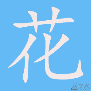 《花》的笔顺动画写字动画演示