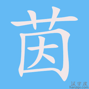 《茵》的笔顺动画写字动画演示