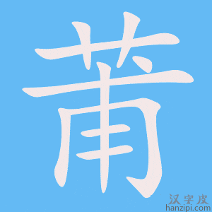 《莆》的笔顺动画写字动画演示