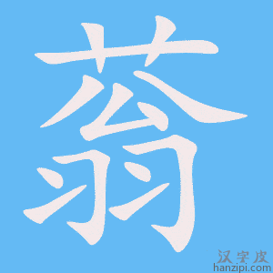 《蓊》的笔顺动画写字动画演示