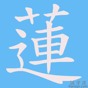 《蓮》的笔顺动画写字动画演示