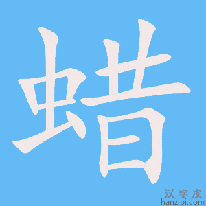 《蜡》的笔顺动画写字动画演示