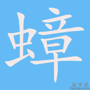 《蟑》的笔顺动画写字动画演示