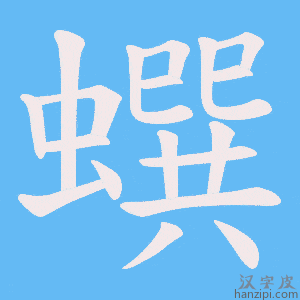《蟤》的笔顺动画写字动画演示