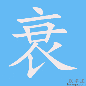 《衰》的笔顺动画写字动画演示