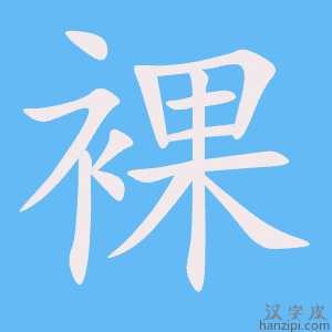 《裸》的笔顺动画写字动画演示