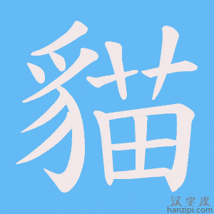《貓》的笔顺动画写字动画演示