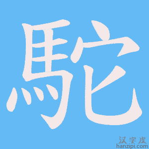 《駝》的笔顺动画写字动画演示