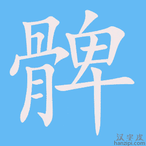 《髀》的笔顺动画写字动画演示