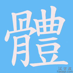 《體》的笔顺动画写字动画演示