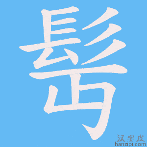 《髩》的笔顺动画写字动画演示