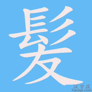 《髪》的笔顺动画写字动画演示